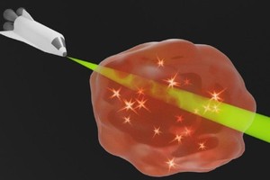 科學家研發將人造材料完全隱形