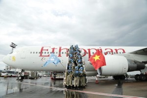 １號工兵隊抵達阿卜耶伊