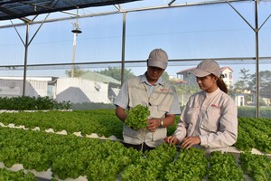 到2025年，各個循環經濟項目將初步實施並發揮社經、技術和 環境效益。