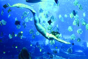 南非首創“人魚學校”