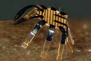 史上最小遙控步行機械人