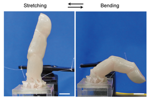 “以假亂真“機器人手指能自我修復