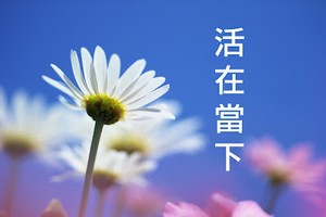 活在當下