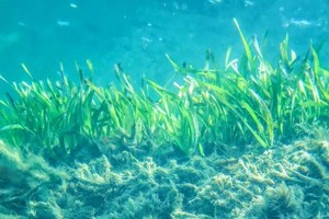 （示意圖源：互聯網）