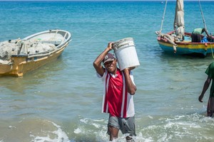 可持續漁業正在改善海地的生計。