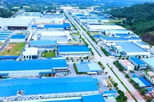 （示意圖源：互聯網）