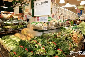 韓國部分蔬菜價格已在一週內上漲超一倍。