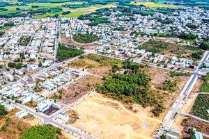 同奈省加以管理開發逾千塊公地