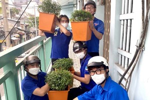 第三坊青年為舊公寓擺設盆栽綠化。