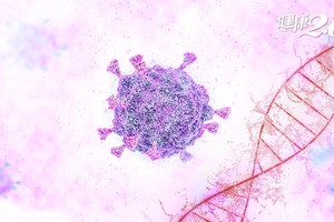 （示意圖源：互聯網）