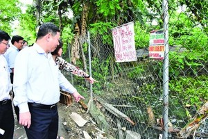 市領導檢查平新郡轄區的防範登革熱病工作。