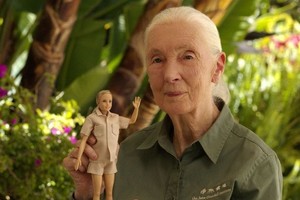 （示意圖源：互聯網）