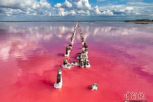 （示意圖源：互聯網）