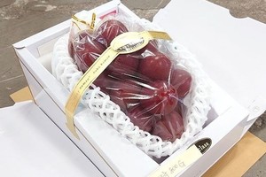 （示意圖源：互聯網）