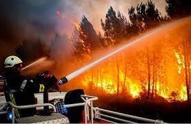 消防員正在全力應對森林火災發生。圖源：互聯網