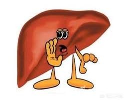 排便時出現４種情況是肝不好