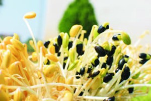 （示意圖源：互聯網）