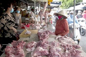 立即採取措施以平抑豬肉價格