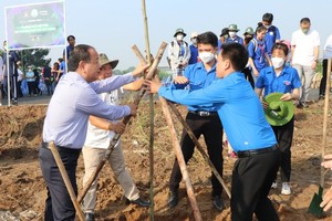 都市植樹運動發起