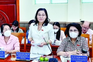 市人民議會主席阮氏麗在監察會議上發表意見。