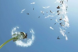 （示意圖源：互聯網）