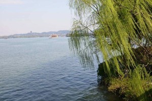 （示意圖源：互聯網）