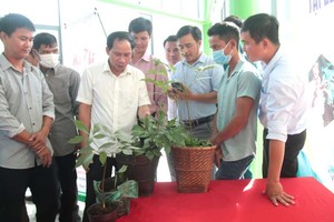 第四次玉玲參盛會舉辦