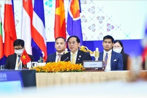 越南外交部長裴青山（中）在會議上發表。