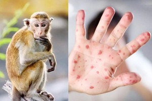 （示意圖源：互聯網）