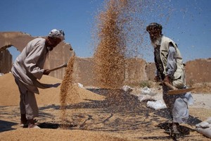 （示意圖源：互聯網）