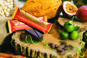 全以越南可可果生產巧克力