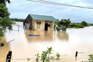 50 間民房與千公頃農作物受淹