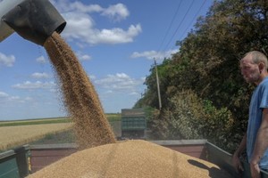 （示意圖源：互聯網）