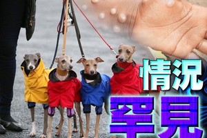 （示意圖源：互聯網）