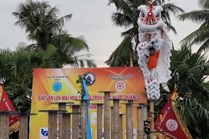 仁義堂奪水上高椿獅王爭霸賽金盃