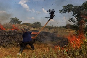 （示意圖源：互聯網）