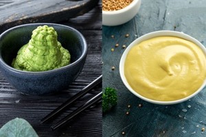 芥末、哇沙比原來不一樣！