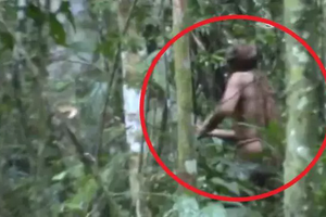 巴西亞馬遜雨林中有一名至今身份不明、但具有超凡魅力的原住民被認為是其部落的最後一名倖存者，近日卻傳出過世消息。Facebook