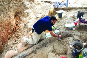 以色列出土 50 萬年前完整象牙