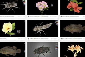 日公開千種3D數字生物標本