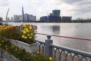 白騰碼頭公園已披上新衣裳。