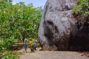 大象石灘有的石塊像巨型大象。