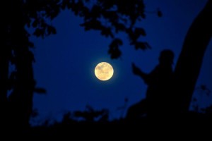 （示意圖源：互聯網）