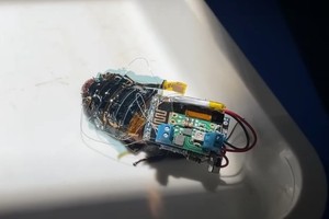 （示意圖源：互聯網）