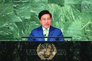 越南政府常務副總理范平明正在發表講話。