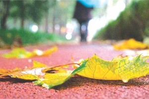 （示意圖源：互聯網）