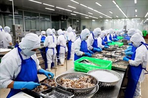 （示意圖源：互聯網）