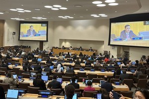 越南常駐聯合國代表團團長鄧黃江大使在會上發表講話。（圖：越通社）