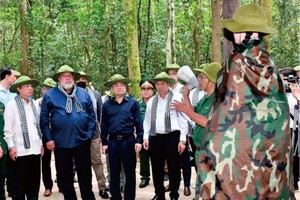 古巴總理曼努埃爾參觀古芝地道。