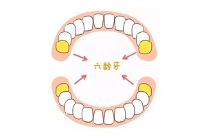 ６歲前不用管牙齒？
